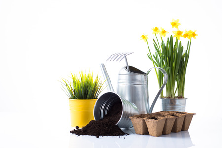 Subtle tin gardening items and flowers composition isolated on whiteの写真素材
