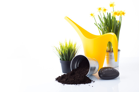 Garden equipment with green plant and a sign against a white background の写真素材