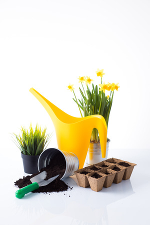 Garden equipment with green plant against a white background の写真素材