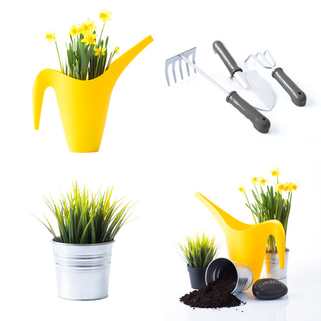 Spring gardening setの写真素材