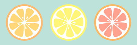 Collection of citrus slices. Vector.