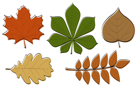 Set of colourful hand drawn leaves. Vector.のイラスト素材