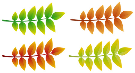 Colourful 3d ash leaves isolated on white background. Vector.のイラスト素材