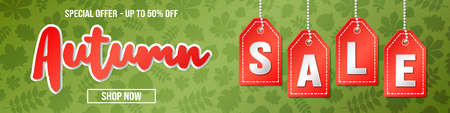 Concept of banner with leaves for Autumn Sale. Vector.のイラスト素材