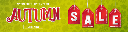Fall Sale - concept of banner with background. Vector.のイラスト素材