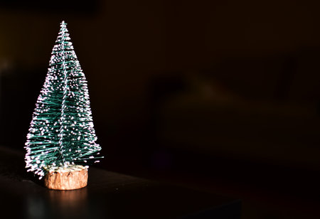 Small Christmas tree decoration from wires and wood in dark background.の写真素材