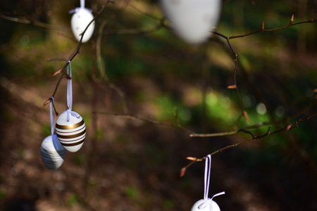 Easter eggs decoration hanging on tree branches in the forest sunny day. Concept of minimal easter...