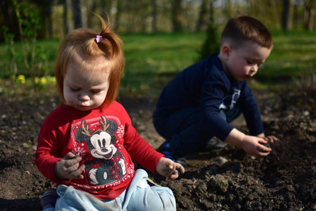 Baby girl and toddler boy is playing with soil in a back yard in spring. Dirty siblings playing with soil on the ground in sunny day outside.の写真素材