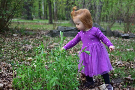 Red hair toddler girl in violet dress standing next to wild plants in park.の写真素材