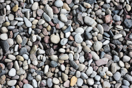 Close-up view of small pebbles creating a natural pattern and texture. Tiny gravel stones in various...