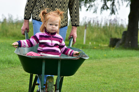 Toddler girl sitting in wheelbarrow, looking at camera while being pushed in field. Holding peas in hands, enjoying outdoor countryside ride in striped sweater.の写真素材