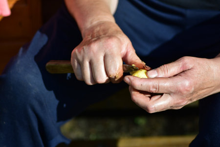 Close-up of adult hands peeling fresh potatoes with knife in sunlight. Authentic countryside food preparation and simple rural lifestyle moment from family farm.の写真素材