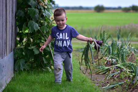 Smiling boy proudly holds freshly picked onions in countryside garden. Happy rural childhood and farm-to-table lifestyle in nature.の写真素材