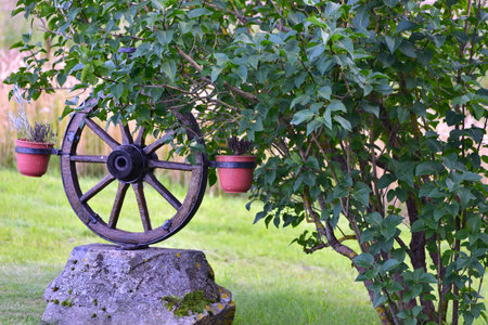 Rustic wooden wagon wheel with two flower pots mounted on a stone, surrounded by lush green leaves...