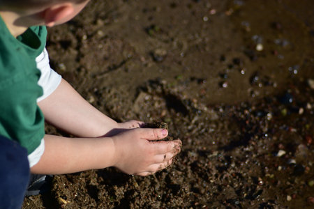 Close up of toddler boy holding wet sand and small pebbles in hands. Outdoor childhood moment by...