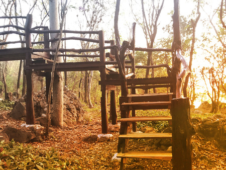 forest sunset twilight at " Phu Kao and Phu Phan Kham " national park in Khonkaen Thailand.の写真素材