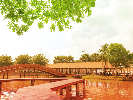 PATHUM THANI, THAILAND - MARCH 30 2017 ;people with tree and  bridge around the lake at Thammasat University Rangsitのeditorial素材