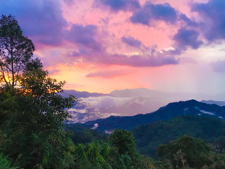 Beautiful fog with colorful sky in  the evening at Phanerntoong,Kangkachan, Phetchaburi, thailand.の写真素材