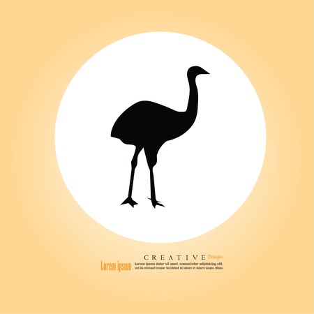 emu icon.vector illustration.のイラスト素材