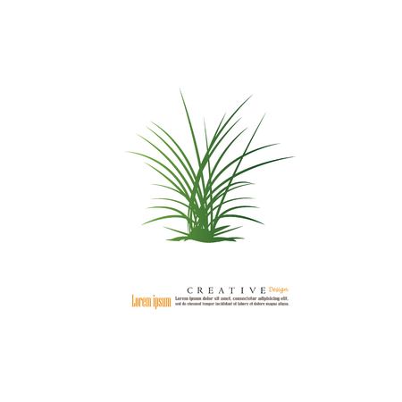 Grass.Vector Illustration.のイラスト素材