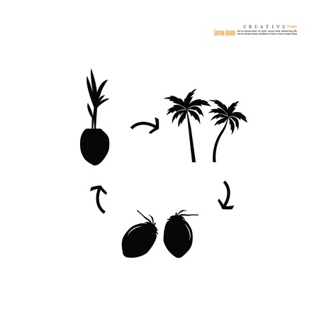 coconut  tree icon.vector illustration.eps10.のイラスト素材