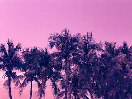 view of beach with coconut  tree in Thailand-image.の写真素材