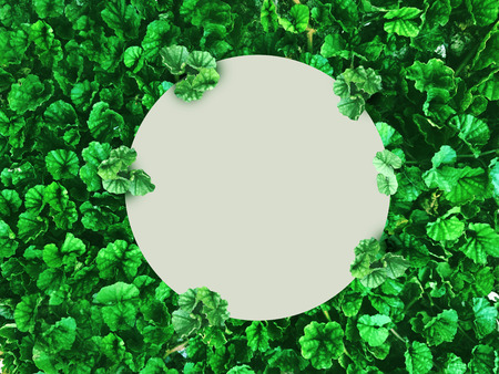 Billboard mock up with plants - Imageの写真素材