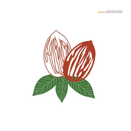 almond vector on white background.vector illustration.のイラスト素材