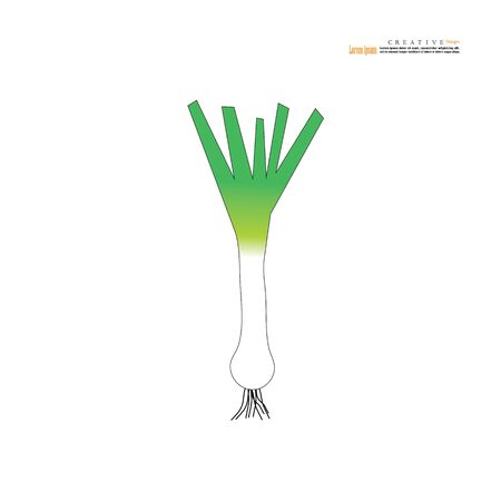 Green spring onion isolated on the white background.vector illustration.のイラスト素材