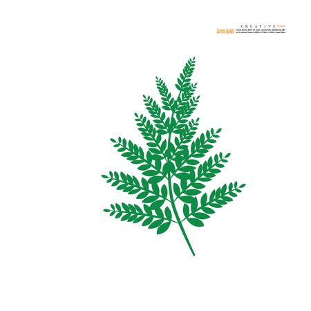fern leaf icon on white background.Vector illustration.のイラスト素材