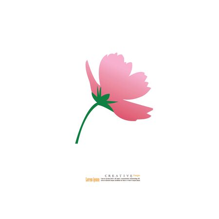 Cosmos flowers blooming icon on white background.vector illustration.のイラスト素材