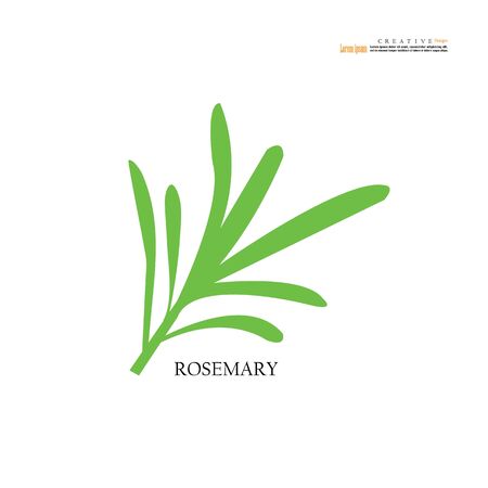 Rosemary icon on white background.vector illustration.eps10のイラスト素材