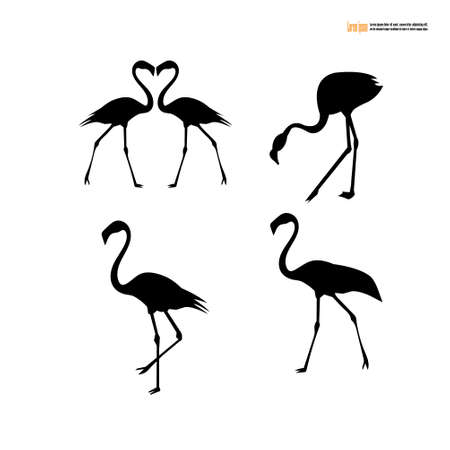 Flamingo Birds silhouette icon on white background. Vector Illustration.のイラスト素材