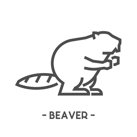 Vector outline figure of beaver on white background for web.のイラスト素材