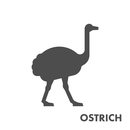 Black vector figure of ostrich. Vector african animal for web and design.のイラスト素材