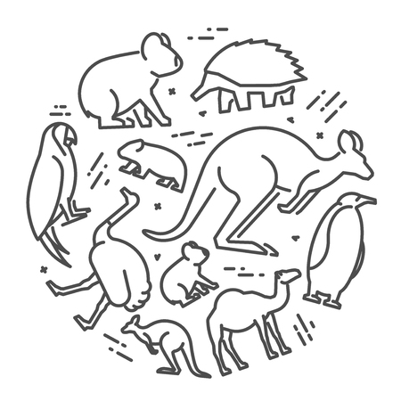 Vector line concept of australian animals. Linear icon koala, kangaroo, echidna and emu.のイラスト素材