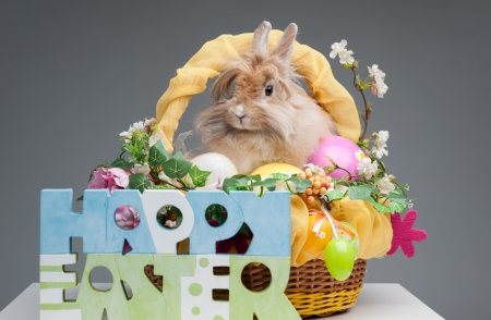 easter composition. happy easter sign and rabbit in easter basket isolated on gray background