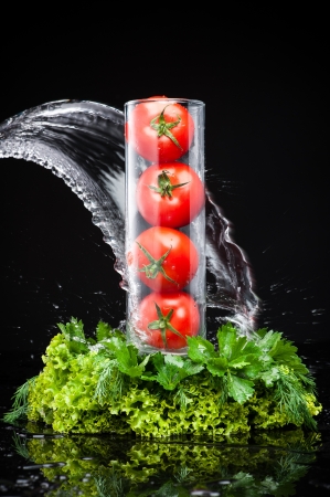 four tomatoes in a glass vase standing under the spray of water on the fresh greenの写真素材