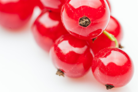 red currant  berries lyind on whiteの写真素材