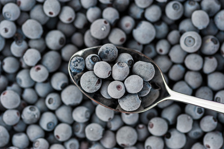 teaspoon with frozen blueberries covered by frostの写真素材