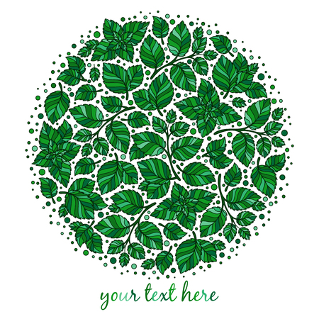 floral round pattern wreath  natural design with leaves. Spring summer design for invitation, wedding or greeting cards. White silhouette, mint green background. Vectorのイラスト素材