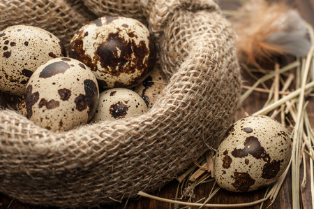 Quail eggs in a burlap sack on a dark wooden backgroundの写真素材