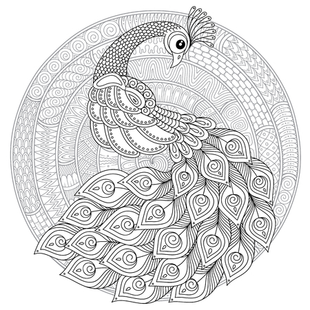 Hand drawn Peacock for anti stress Coloring Page with high details, isolated on white background, illustration in zentangle style. Vector monochrome sketch. Bird collection.のイラスト素材
