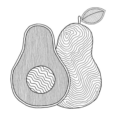 Line art avocado drawing for printing on stuffs and adult coloring book or coloring page.  のイラスト素材