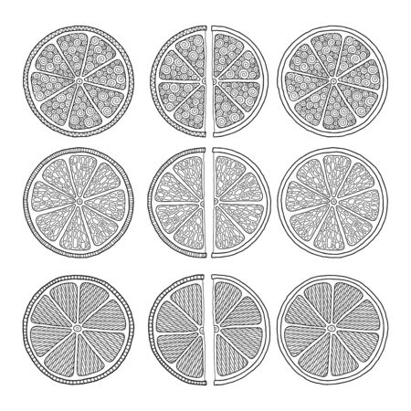 Set of illustrations for Ñoloring book page  with outlines of orange. For kids education or adult antistress.のイラスト素材
