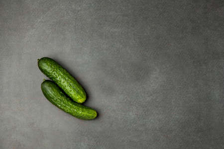 Two fresh green cucumber on a dark background. top view. Empty space for text.の写真素材