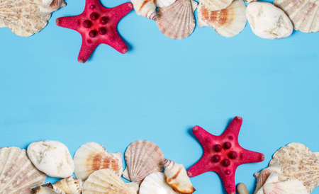 Sea frame. Different marine items on blue wooden background. Sea objects on wooden planks. Selective focus. Place for textの写真素材