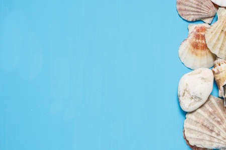 Sea vacation. Seashells frame on blue wood background with copy space on wooden planks, top viewの写真素材