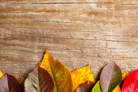 top view image of autumn leaves over wooden textured backgroundの写真素材