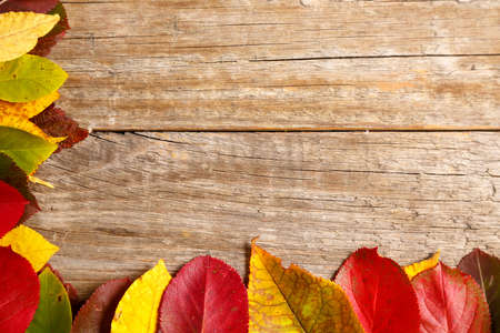 top view image of autumn leaves over wooden textured background